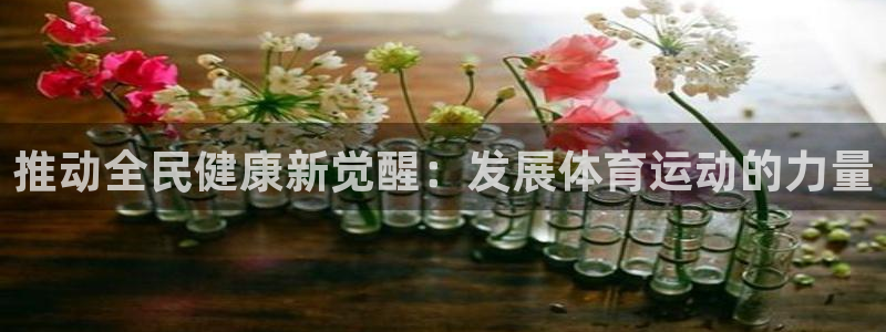 风速体育app官方下载：推动全民健康新觉醒：发展体育运动的力量