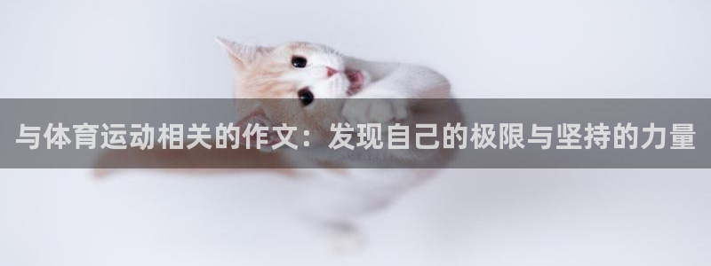 下载风速体育：与体育运动相关的作文：发现自己的极限与坚持的力量