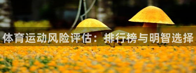 下载风速体育：体育运动风险评估：排行榜与明智选择