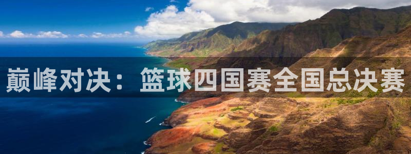 风速体育直播：巅峰对决：篮球四国赛全国总决赛