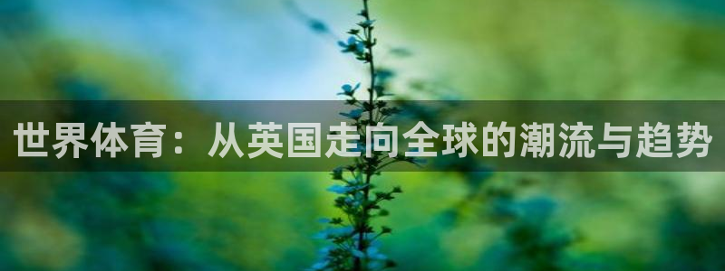 风速体育app下载官网最新版：世界体育：从英国走向全球的潮流与趋势