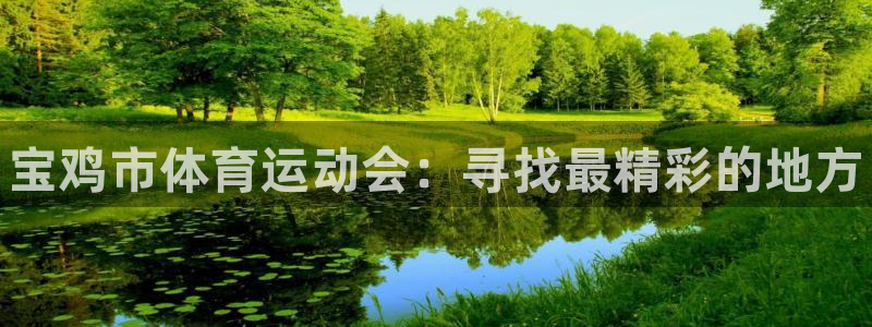 风速体育下载：宝鸡市体育运动会：寻找最精彩的地方