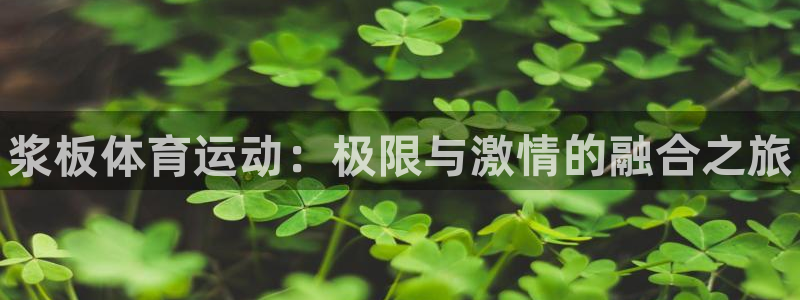 风速体育app下载官网最新版：浆板体育运动：极限与激情的融合之旅