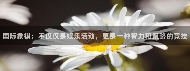 风速体育app下载官网最新版：国际象棋：不仅仅是娱乐活动，更是一种智力和策略的竞技