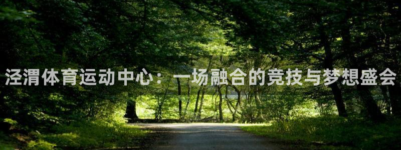 下载风速体育：泾渭体育运动中心：一场融合的竞技与梦想盛会