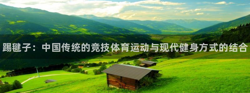 风速体育下载：踢毽子：中国传统的竞技体育运动与现代健身方式的结合