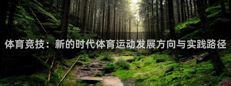 风速体育下载：体育竞技：新的时代体育运动发展方向与实践路径