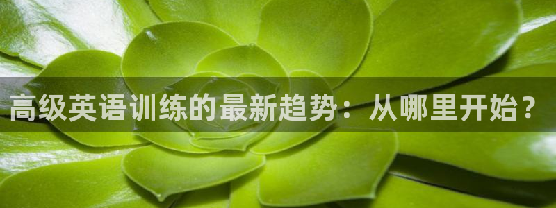 风速体育app下载安装最新版本：高级英语训练的最新趋势：从哪里开始？