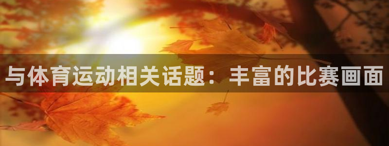 风速体育：与体育运动相关话题：丰富的比赛画面