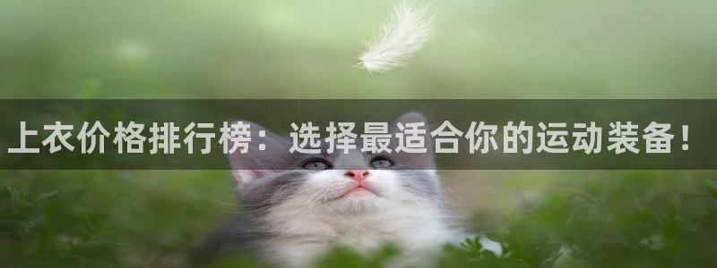 风速体育官网：上衣价格排行榜：选择最适合你的运动装备！