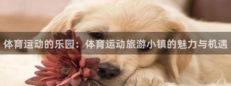 风速体育直播app：体育运动的乐园：体育运动旅游小镇的魅力与机遇