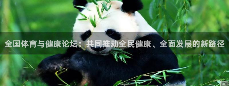风速体育app官方下载：全国体育与健康论坛：共同推动全民健康、全面发展的新路径