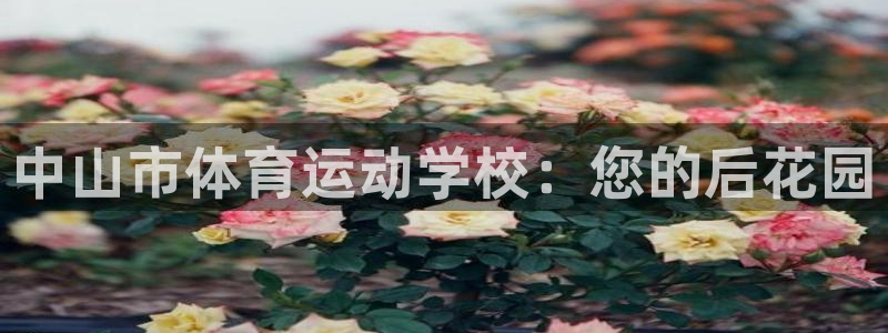 风速体育app：中山市体育运动学校：您的后花园