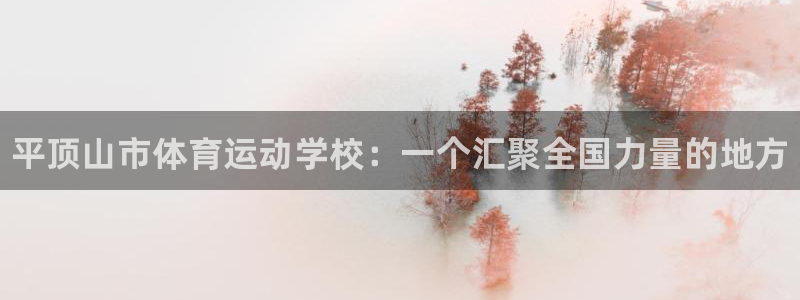 风速体育app官方下载：平顶山市体育运动学校：一个汇聚全国力量的地方