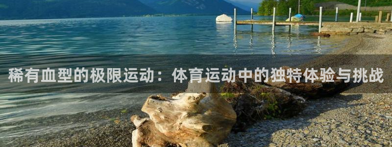 风速体育nba免费直播：稀有血型的极限运动：体育运动中的独特体验与挑战