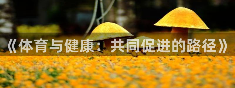 风速体育cba直播：《体育与健康：共同促进的路径》