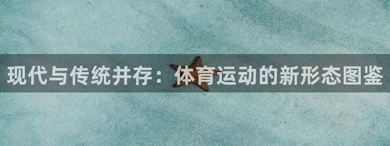 下载风速体育：现代与传统并存：体育运动的新形态图鉴