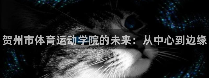 风速体育：贺州市体育运动学院的未来：从中心到边缘