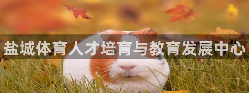 风速体育：盐城体育人才培育与教育发展中心