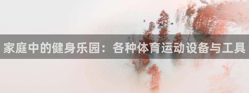 风速体育app：家庭中的健身乐园：各种体育运动设备与工具