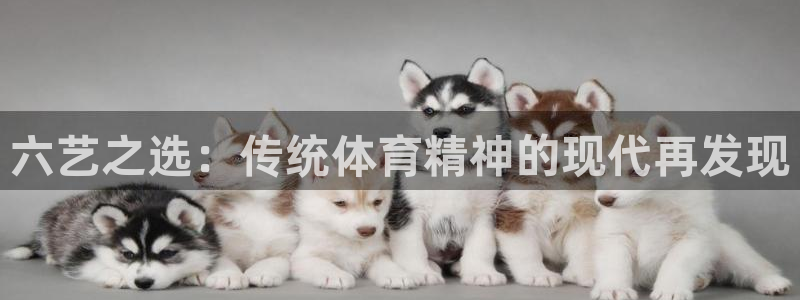 风速体育直播：六艺之选：传统体育精神的现代再发现