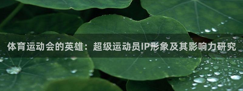 风速体育app下载官网最新版：体育运动会的英雄：超级运动员IP形象及其影响力研究