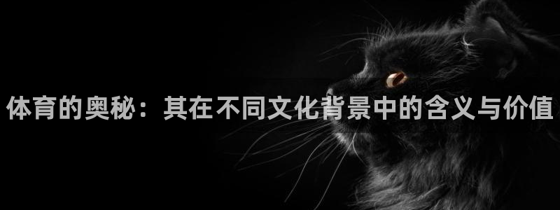 风速体育直播app：体育的奥秘：其在不同文化背景中的含义与价值