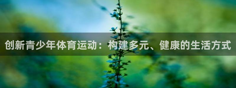 风速体育nba免费直播：创新青少年体育运动：构建多元、健康的生活方式