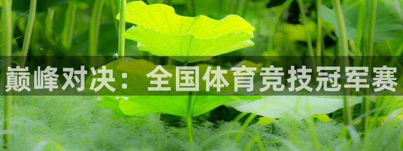 下载风速体育：巅峰对决：全国体育竞技冠军赛