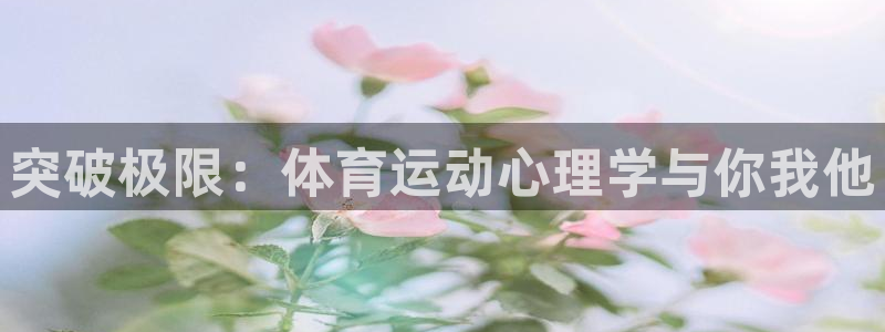 风速体育app官方下载：突破极限：体育运动心理学与你我他