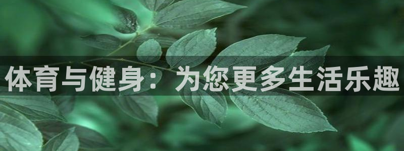 风速体育：体育与健身：为您更多生活乐趣
