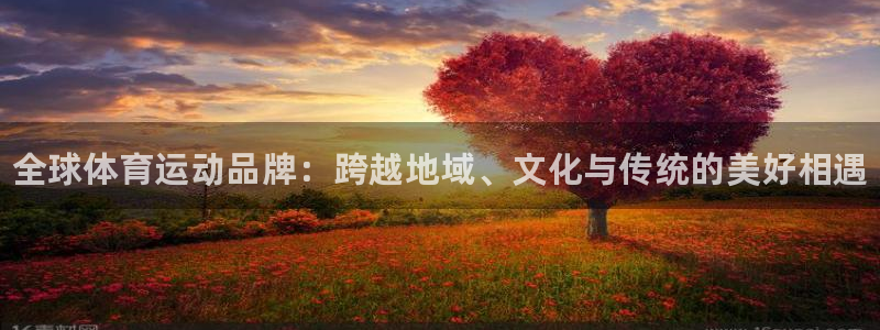 风速体育app下载官网最新版：全球体育运动品牌：跨越地域、文化与传统的美好相遇