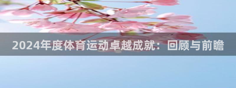 风速体育app下载安装最新版本：2024年度体育运动卓越成就：回顾与前瞻