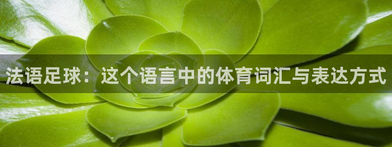 风速体育下载：法语足球：这个语言中的体育词汇与表达方式