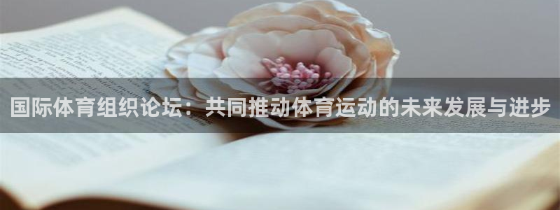 风速体育下载：国际体育组织论坛：共同推动体育运动的未来发展与进步