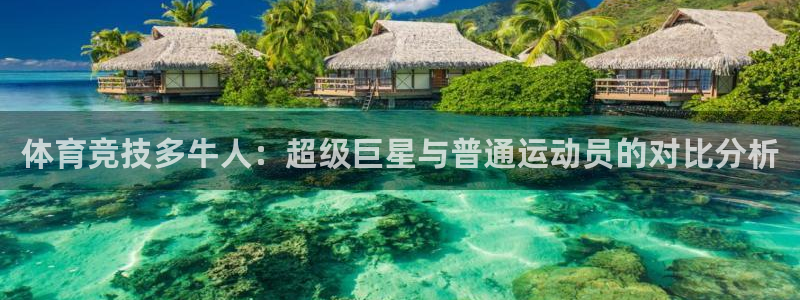 风速体育直播：体育竞技多牛人：超级巨星与普通运动员的对比分析