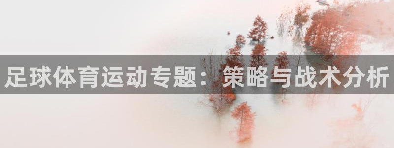 风速体育cba直播：足球体育运动专题：策略与战术分析