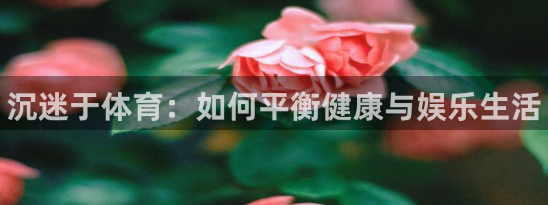 风速体育官网：沉迷于体育：如何平衡健康与娱乐生活